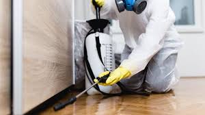 Best Termite Inspection and Treatment  in Roscoe, IL